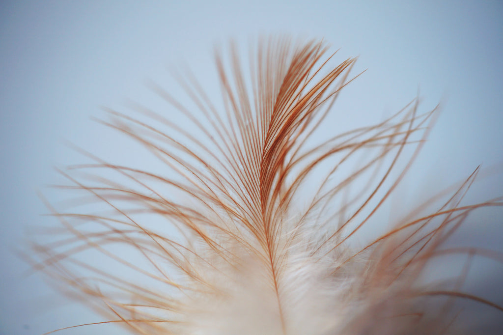 Who Started the Feather Hair Trend?